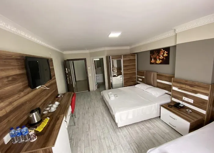 Ankara Atlantik 3* Etimesut