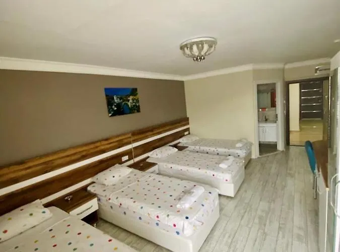 Ankara Atlantik Hotel 3*